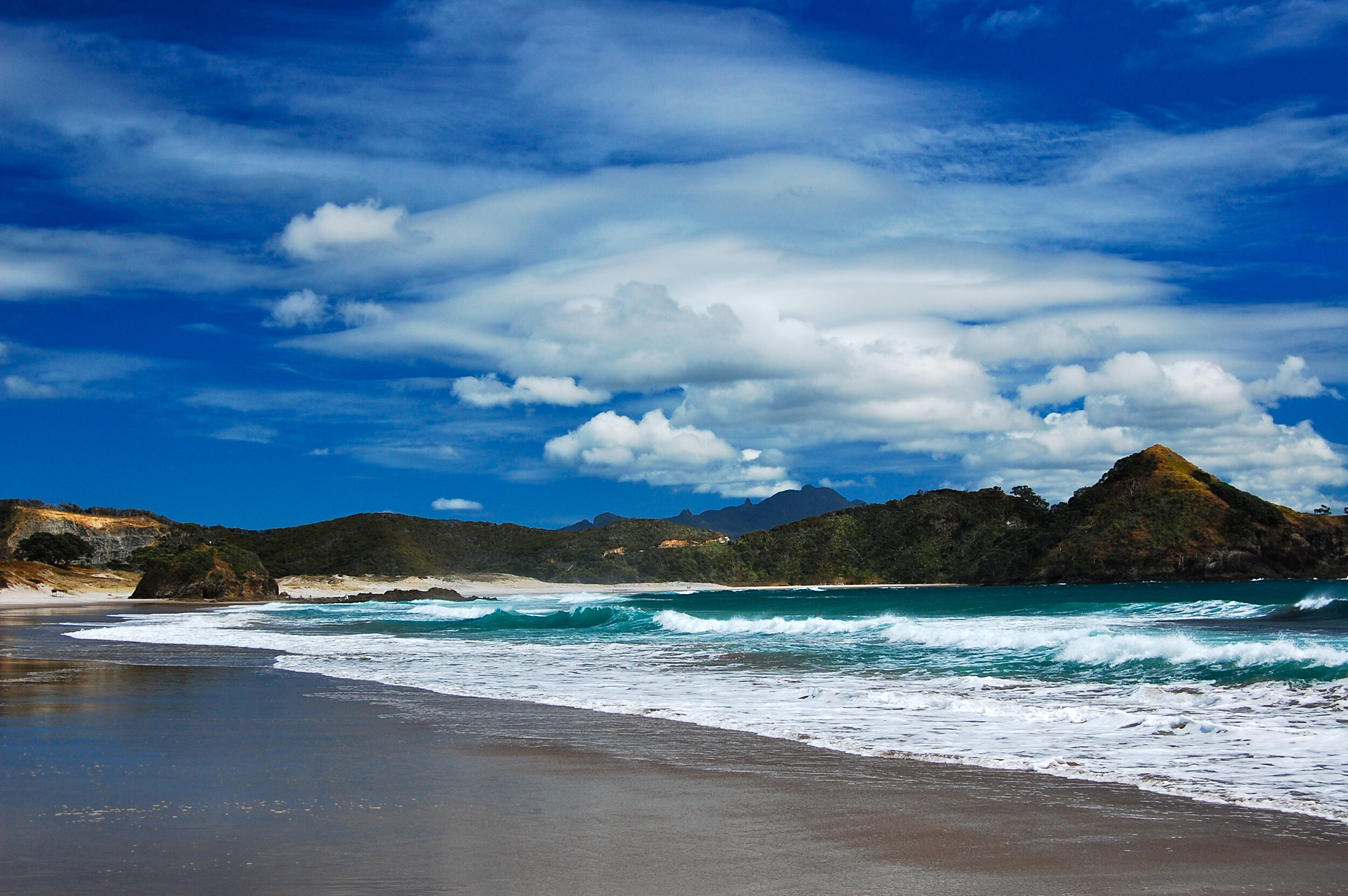 BEST THINGS TO SEE AND DO ON GREAT BARRIER ISLAND