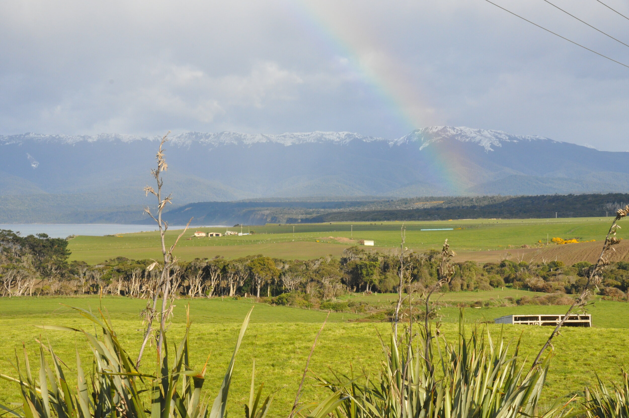 MĀORI CARBON FARMING