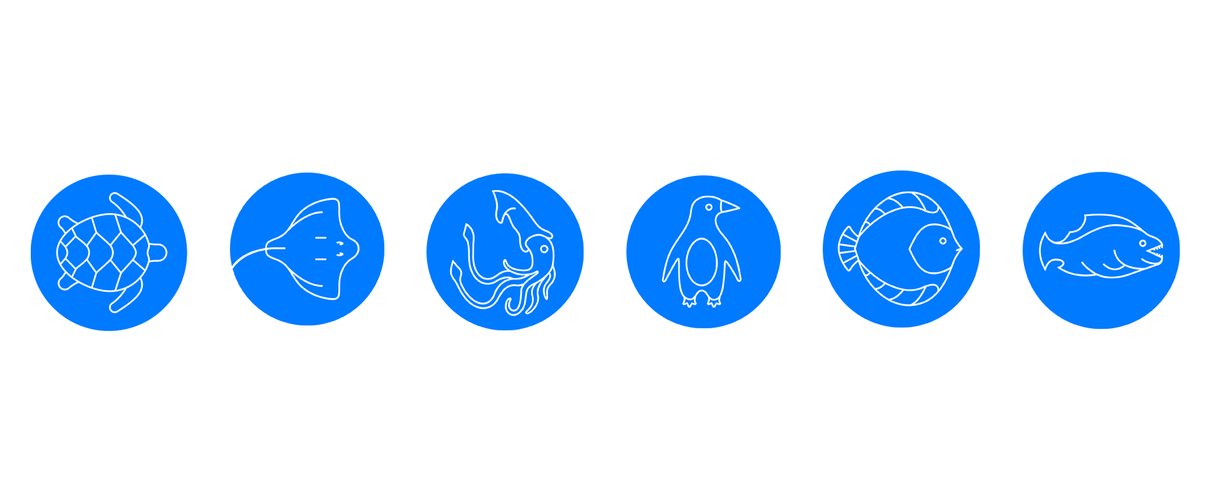 Iconography represents the various sections of the aquarium.