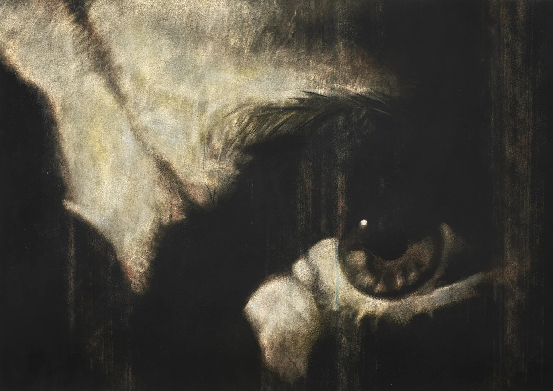 Saw-A2print-small.jpg