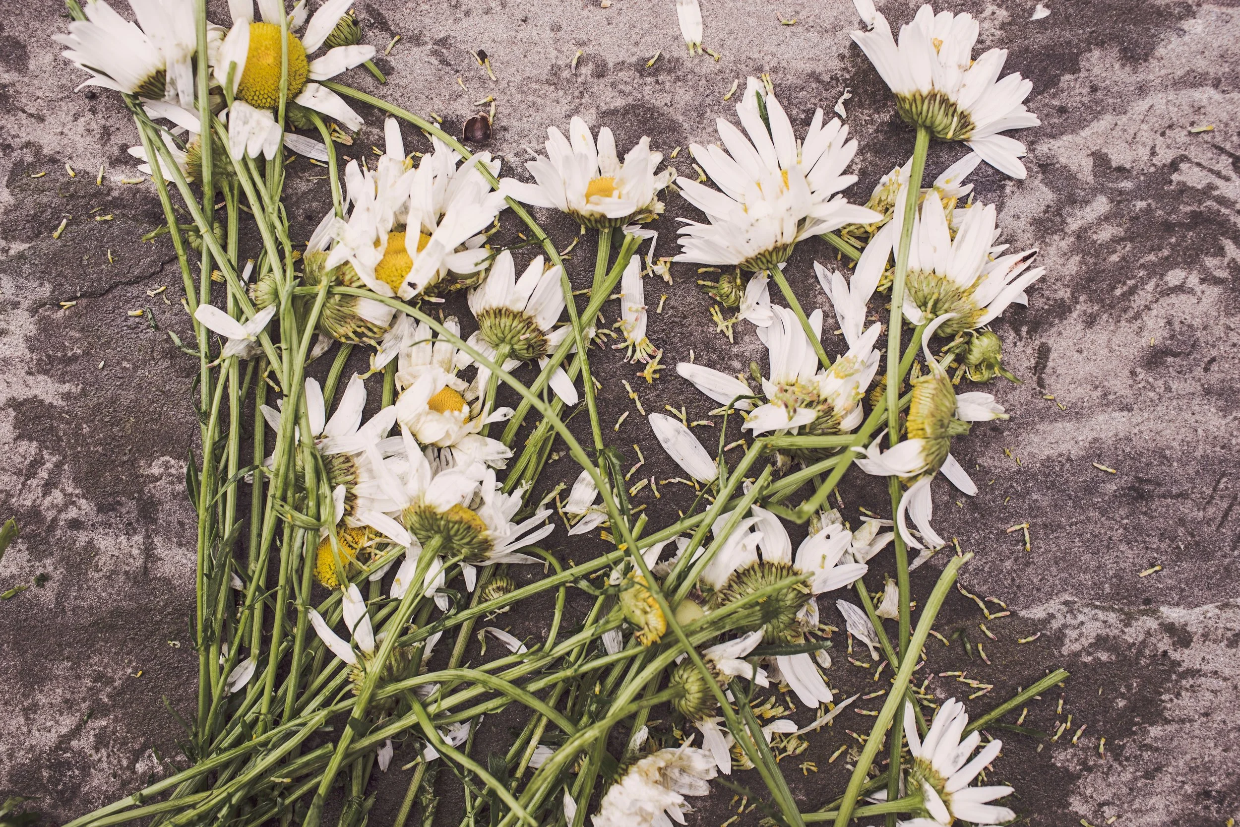 Image credit: https://www.pexels.com/@gratisography
