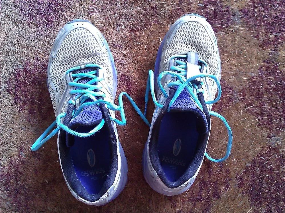 WalkingShoes.jpg