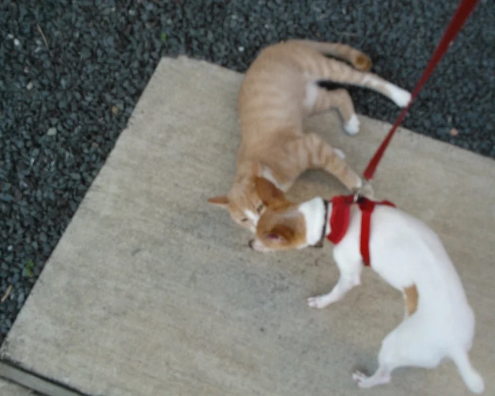 Ramona and Cedric, a best friend from the Houston 'hood. July 2012.