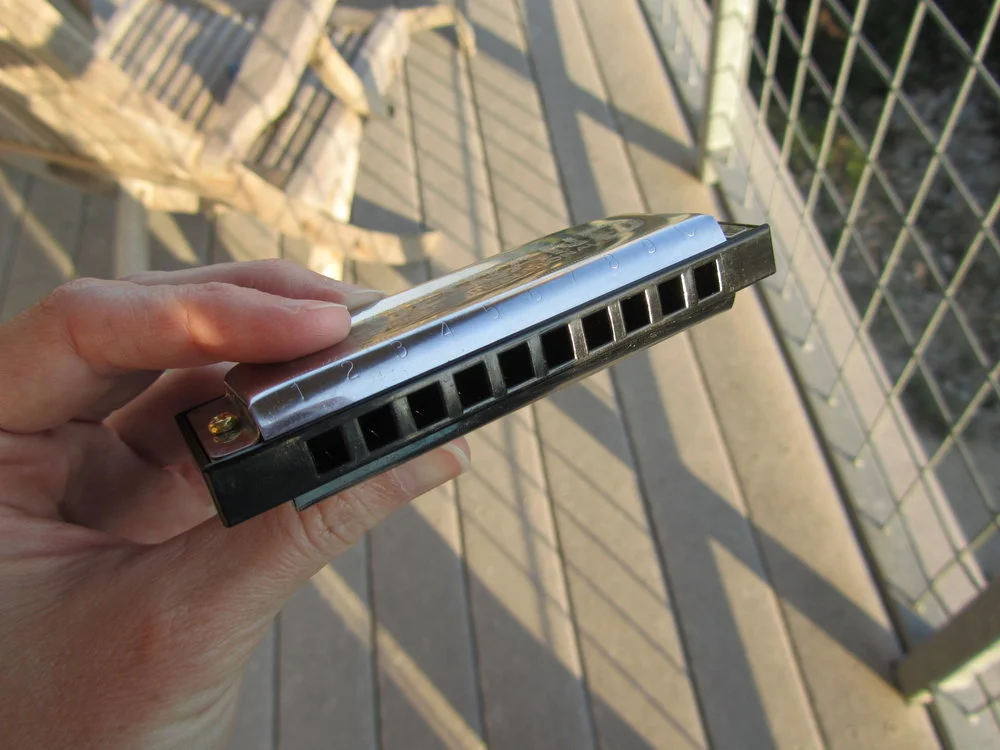 Harmonica Lessons