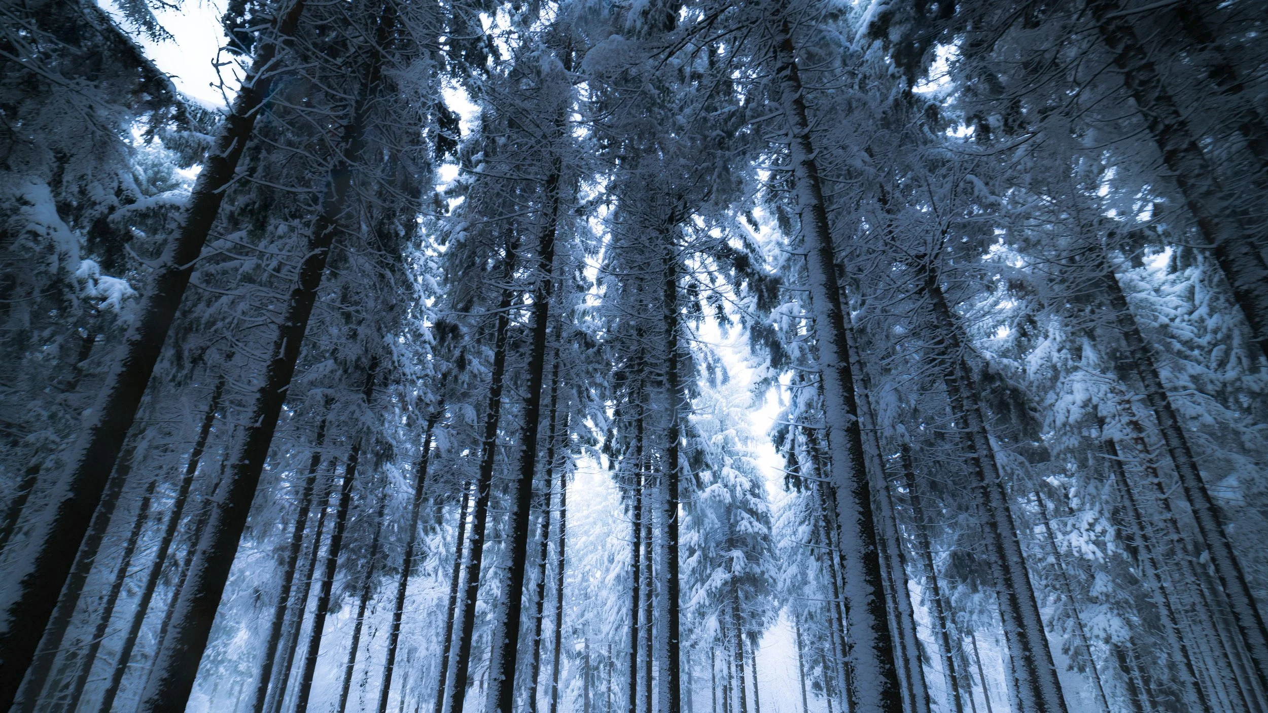 Image credit: https://www.pexels.com/@doozydoom
