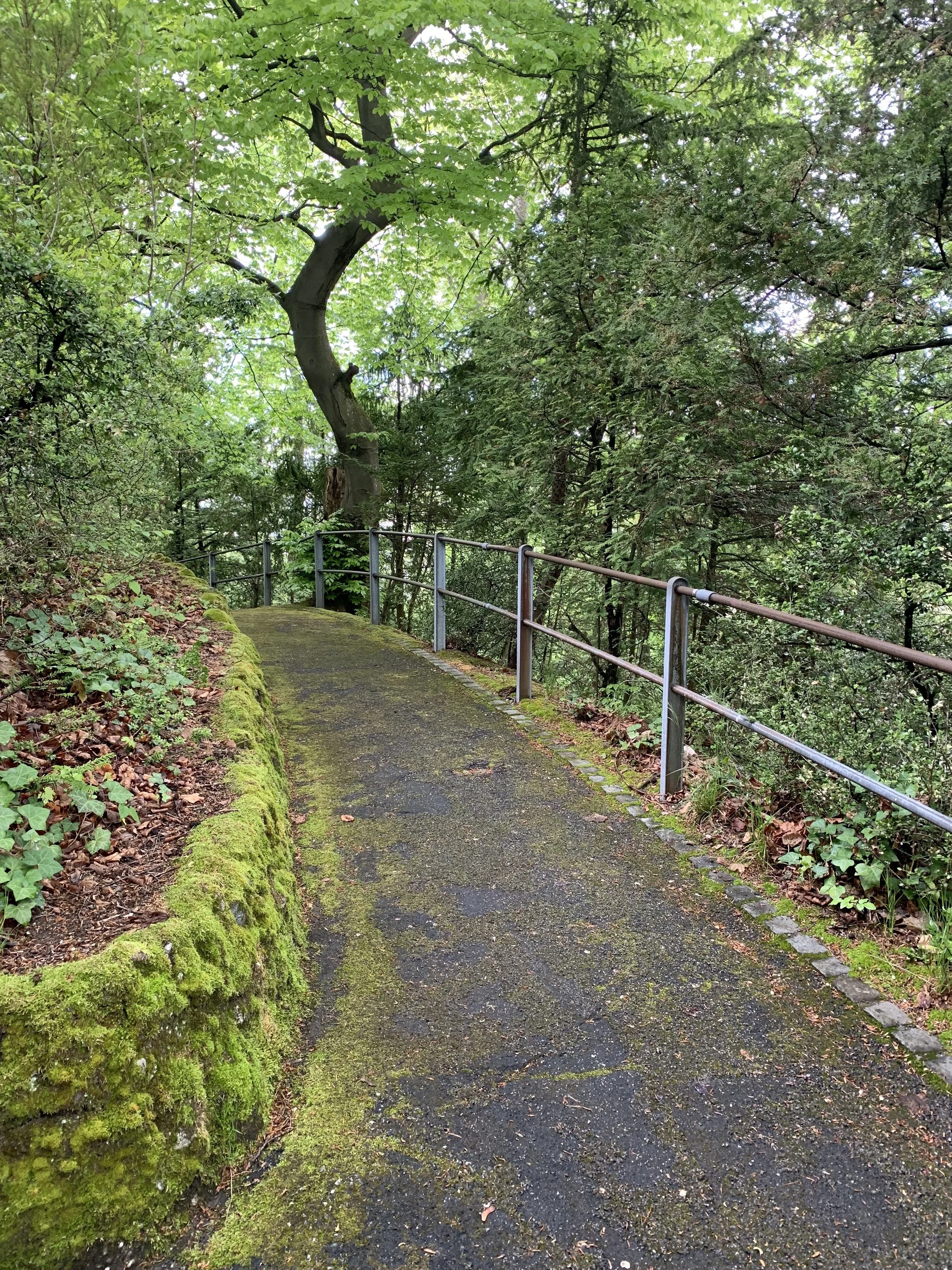 On a lunchtime walk in the Parc de Milan. Lausanne, Switzerland, May 3, 2019.