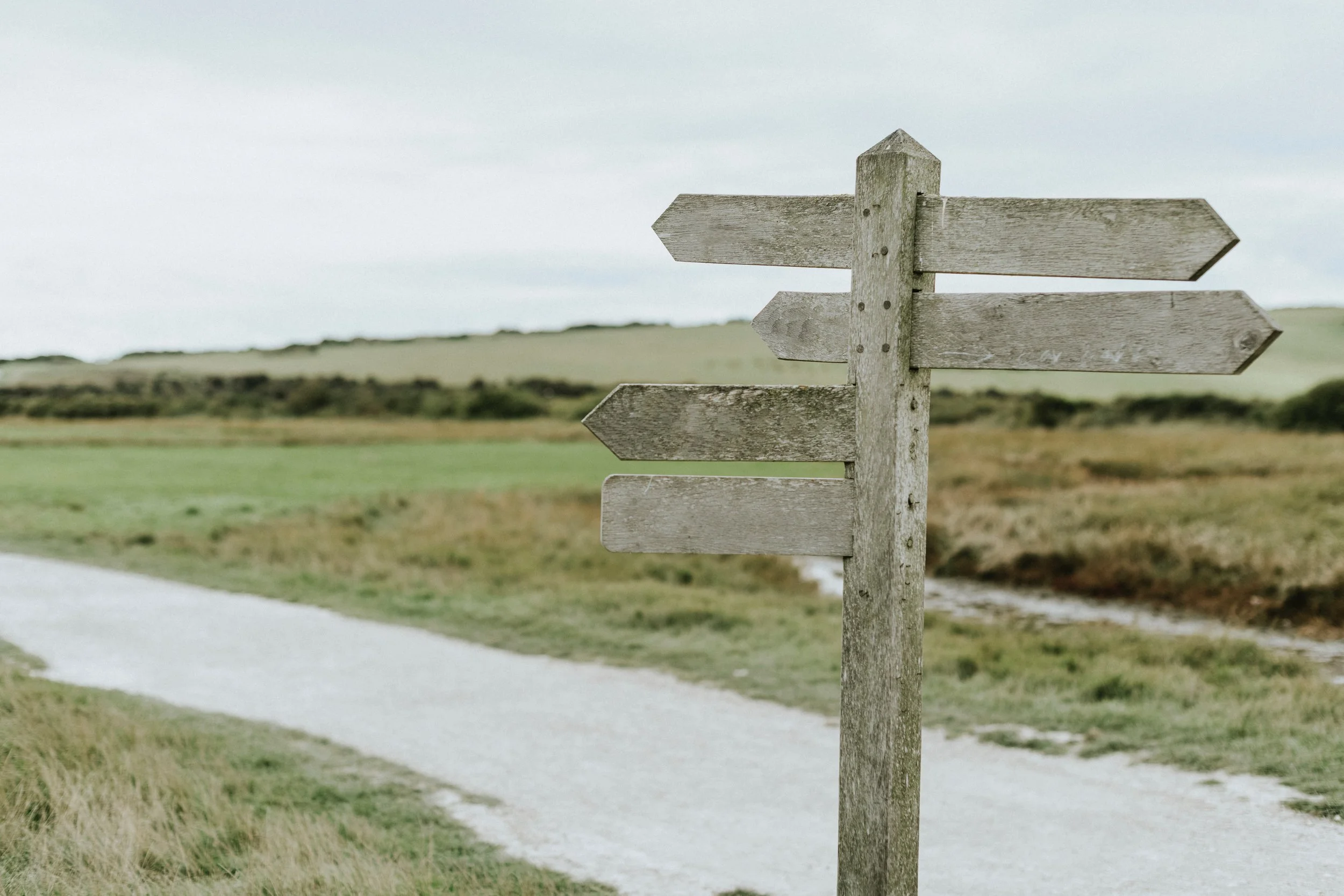 Image credit: https://www.pexels.com/@rawpixel