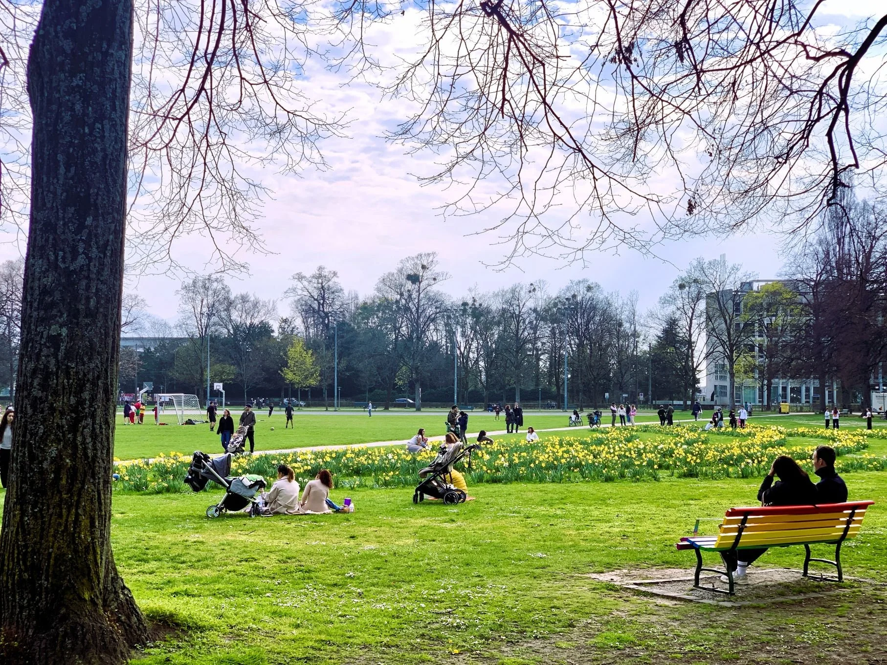 Month-in-Review Highlights: March 2026