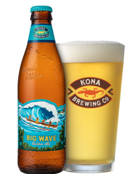 KO-Big-Wave-Bottlepint-600x830-for-web.png