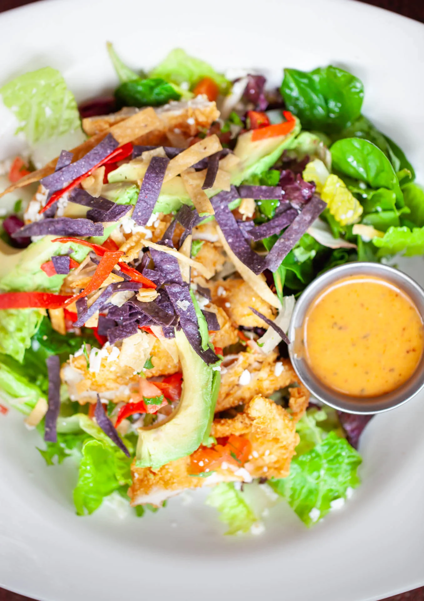 fruitealicious-circle-60.jpg