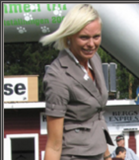 Skärmavbild 2019-03-06 kl. 00.51.47.png