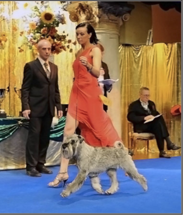 Skärmavbild 2019-03-06 kl. 00.51.41.png
