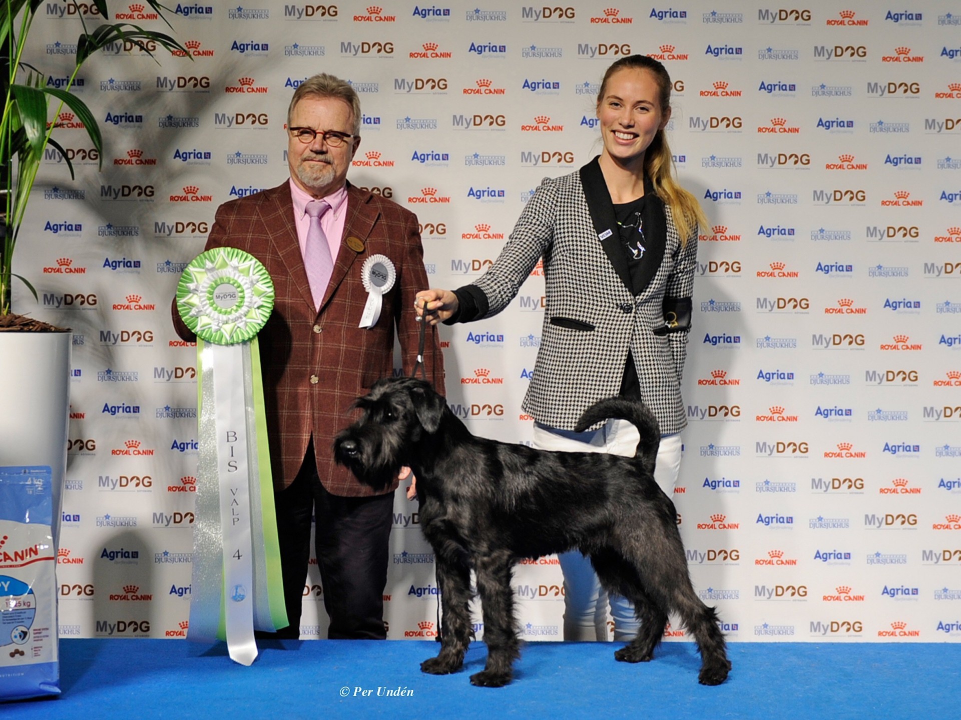 Best in show 4 Velvet Dandy´s Nidhögg