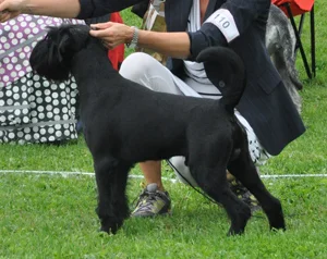 taz23juliKöping 017.jpg