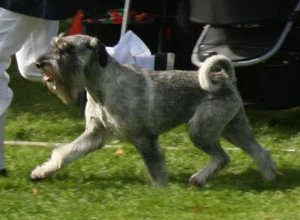 090905_IMG_7106_lenzo300.jpg
