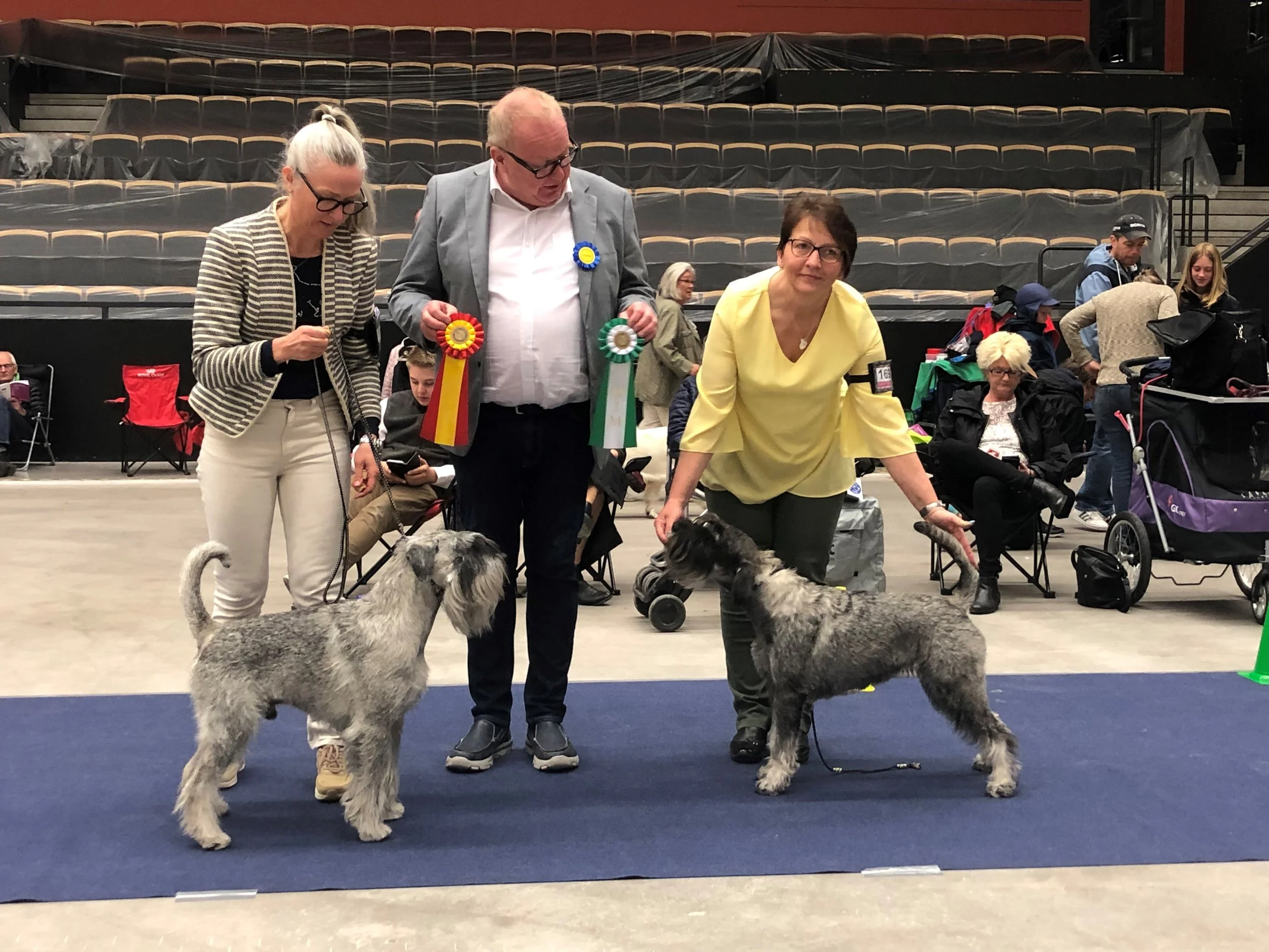 VDs Neappolitan Dynamite BOB and Mabel Alarm Beskyd BOS with judge Johnny Andersson