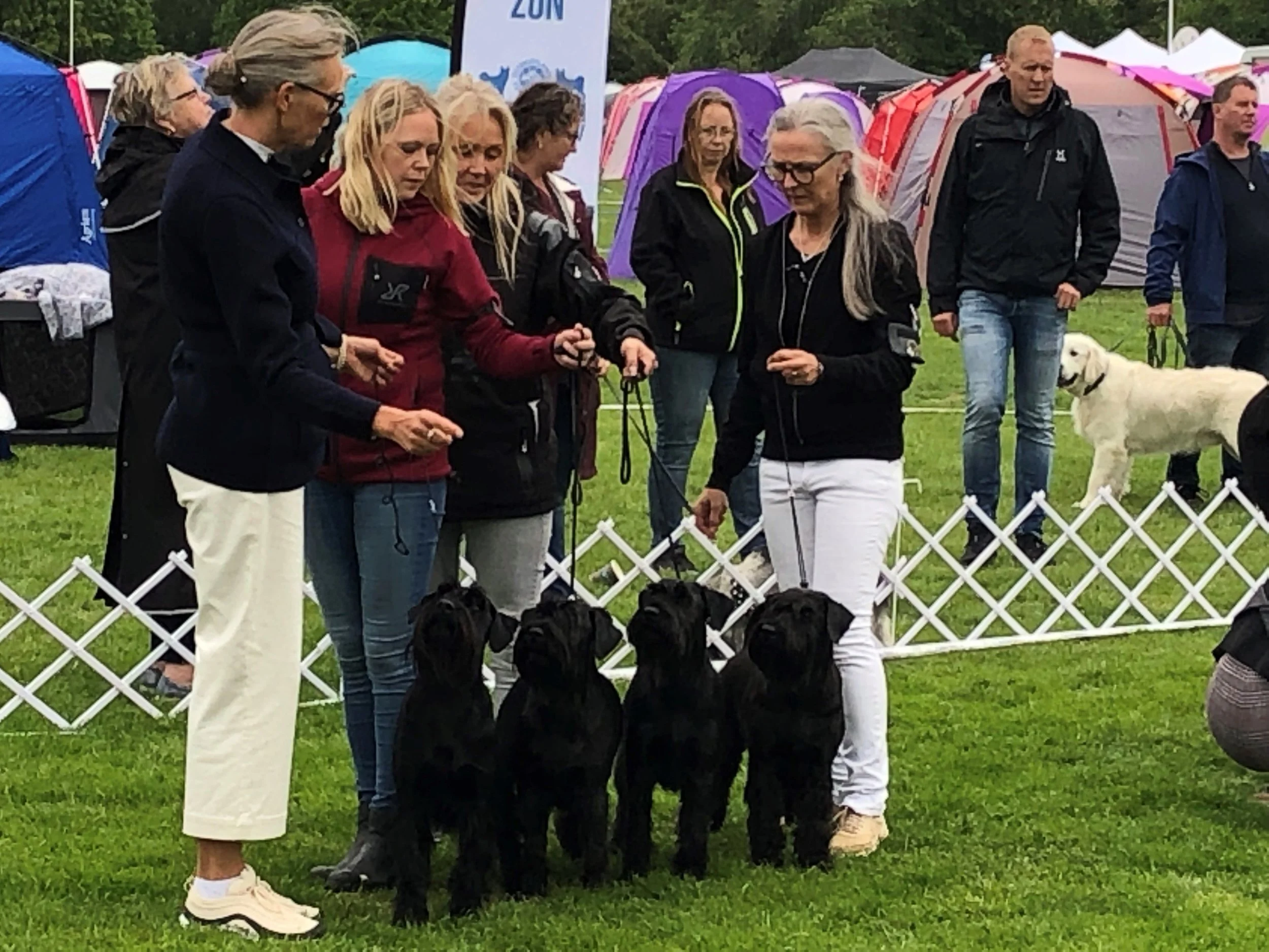 Velvet Dandy´s Breeders Group with 3 combination