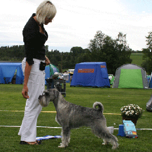 Bis-2-Svenstavik070804.gif