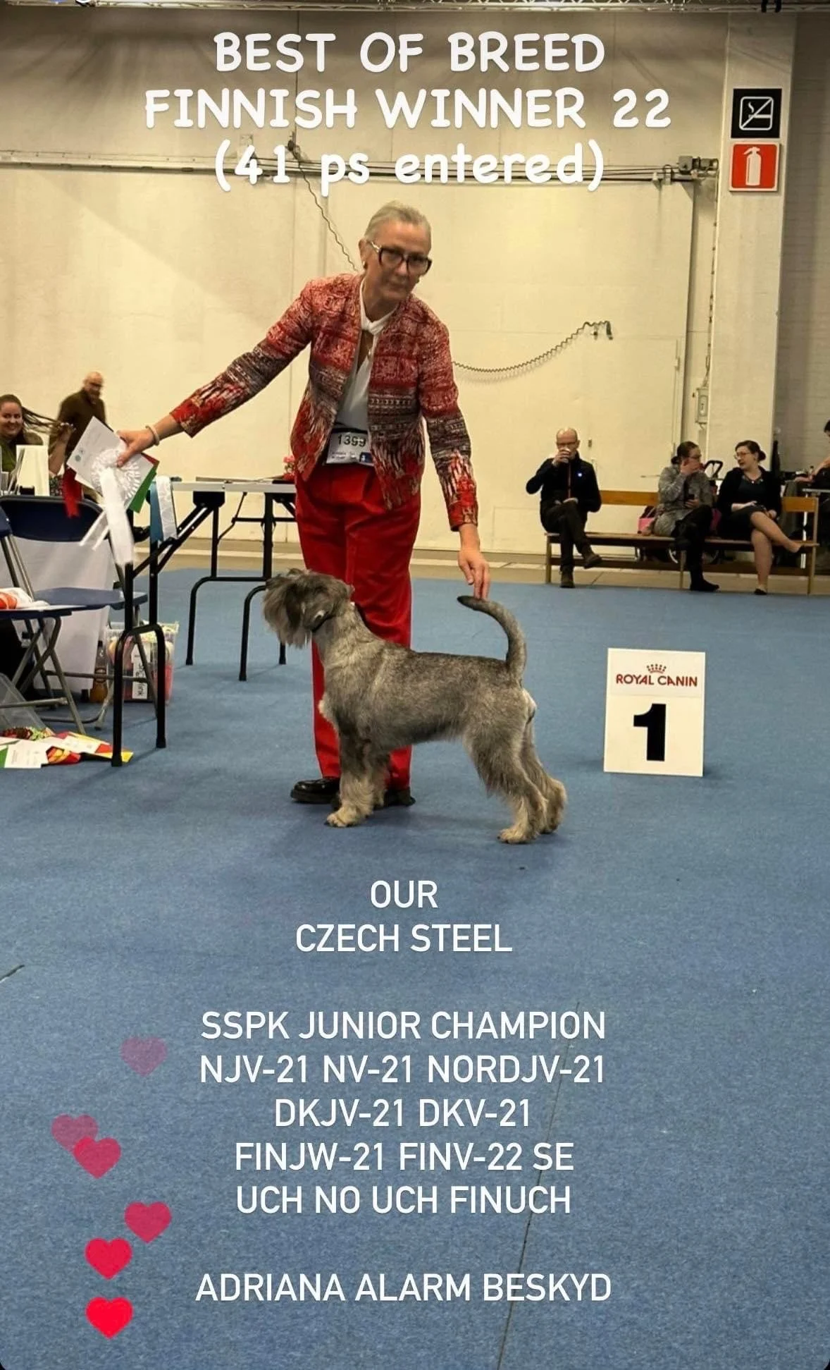 Finnish Winner Show 2022 Voittaja Show 2022