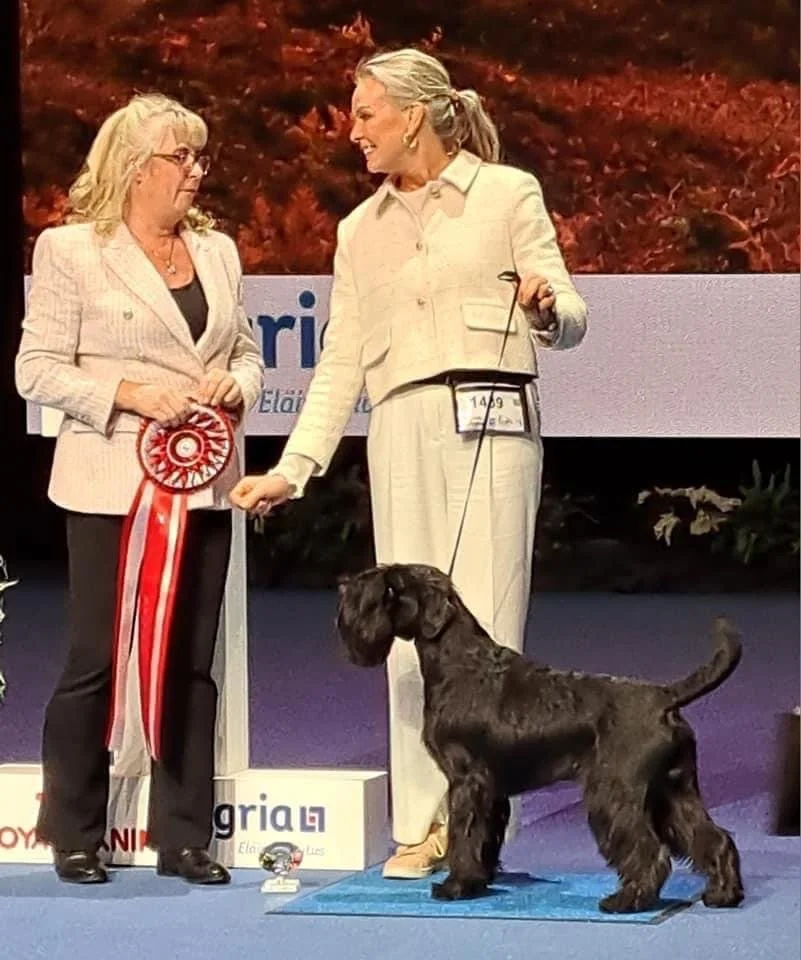 NORDIC Winner Show 2022 Helsinki