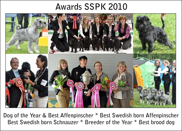Awards SSPK 2010.jpg