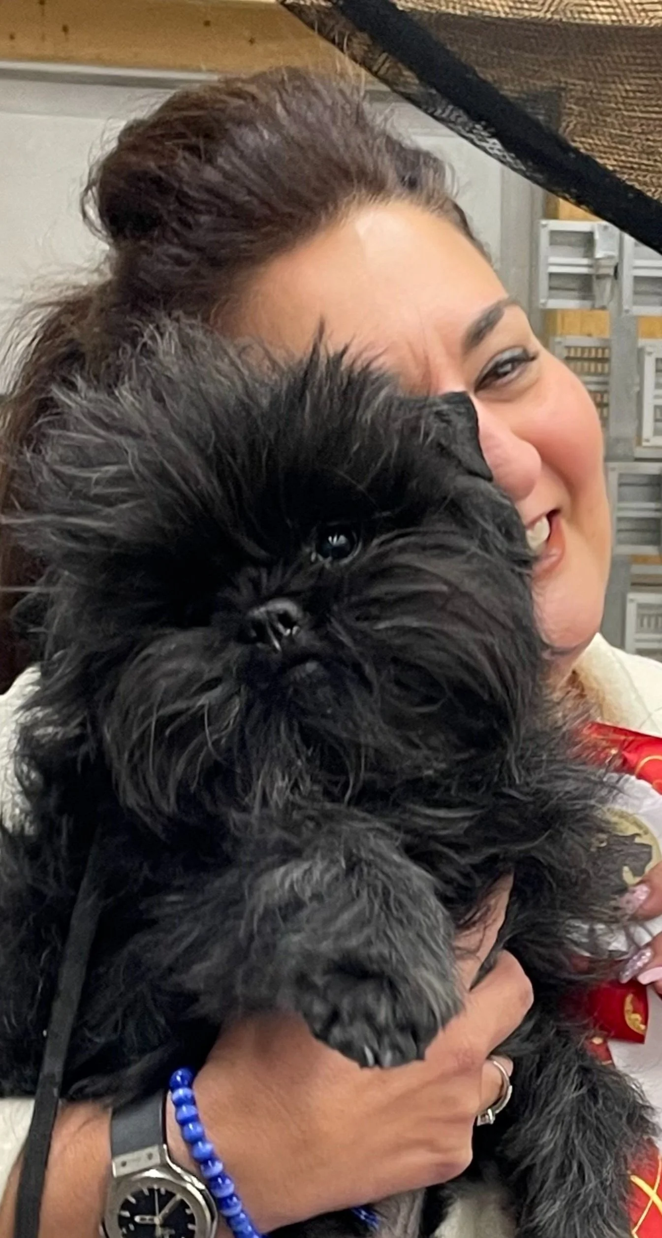 SSPK Dogshow Sundsvall