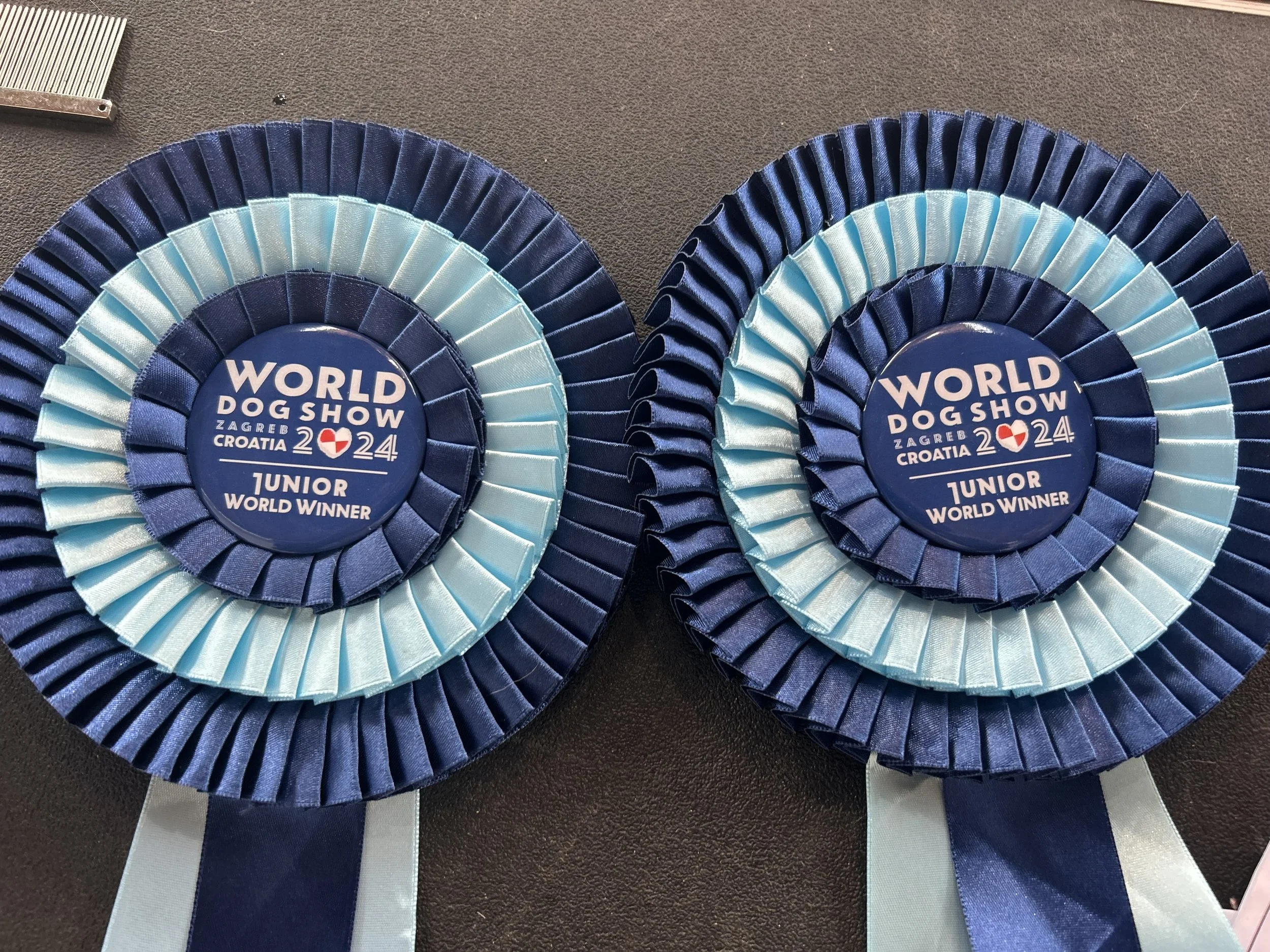 WORLD DOG SHOW 2024 ZAGREB