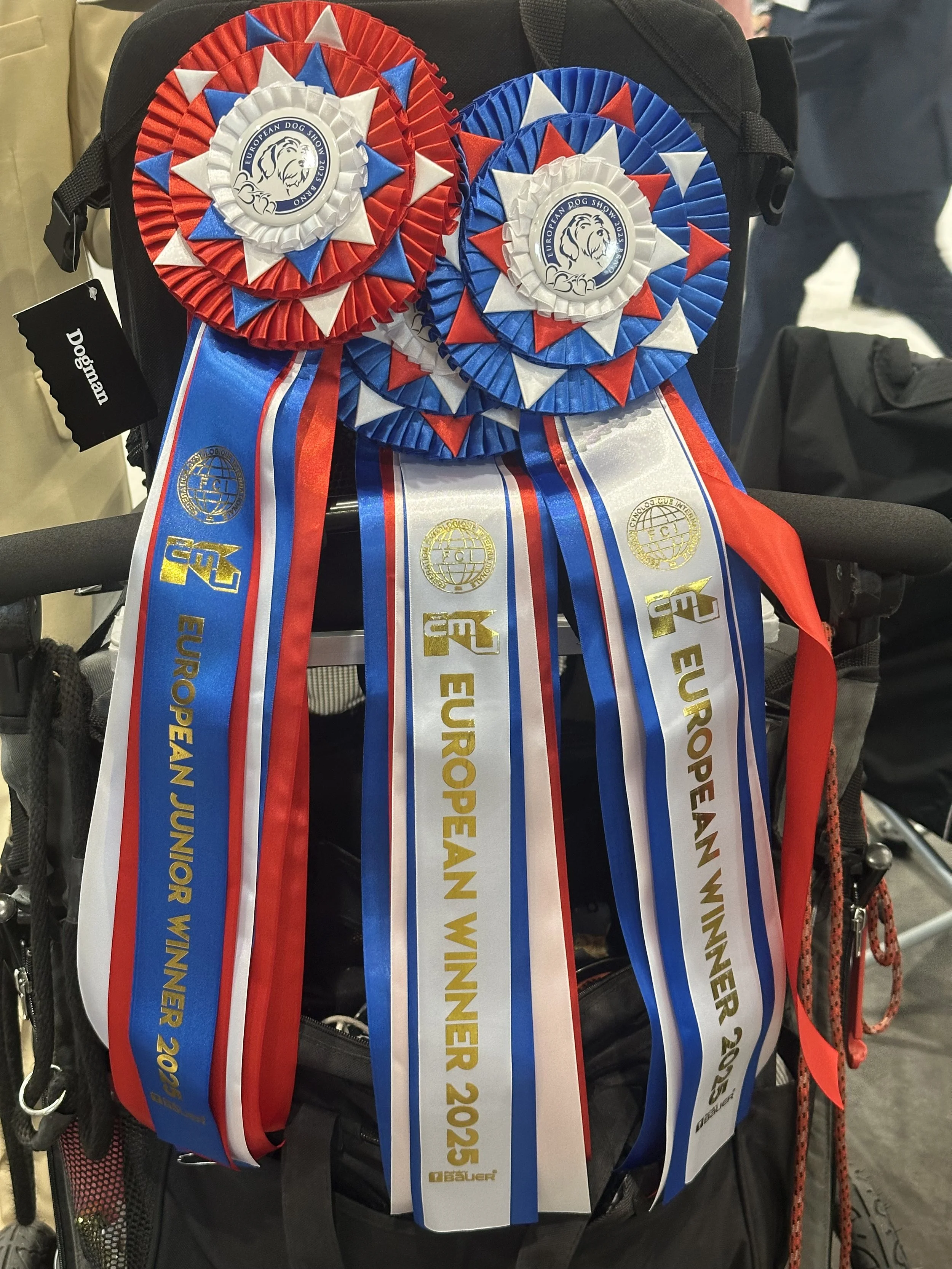 FCI European Winner Show 2025 Brno 