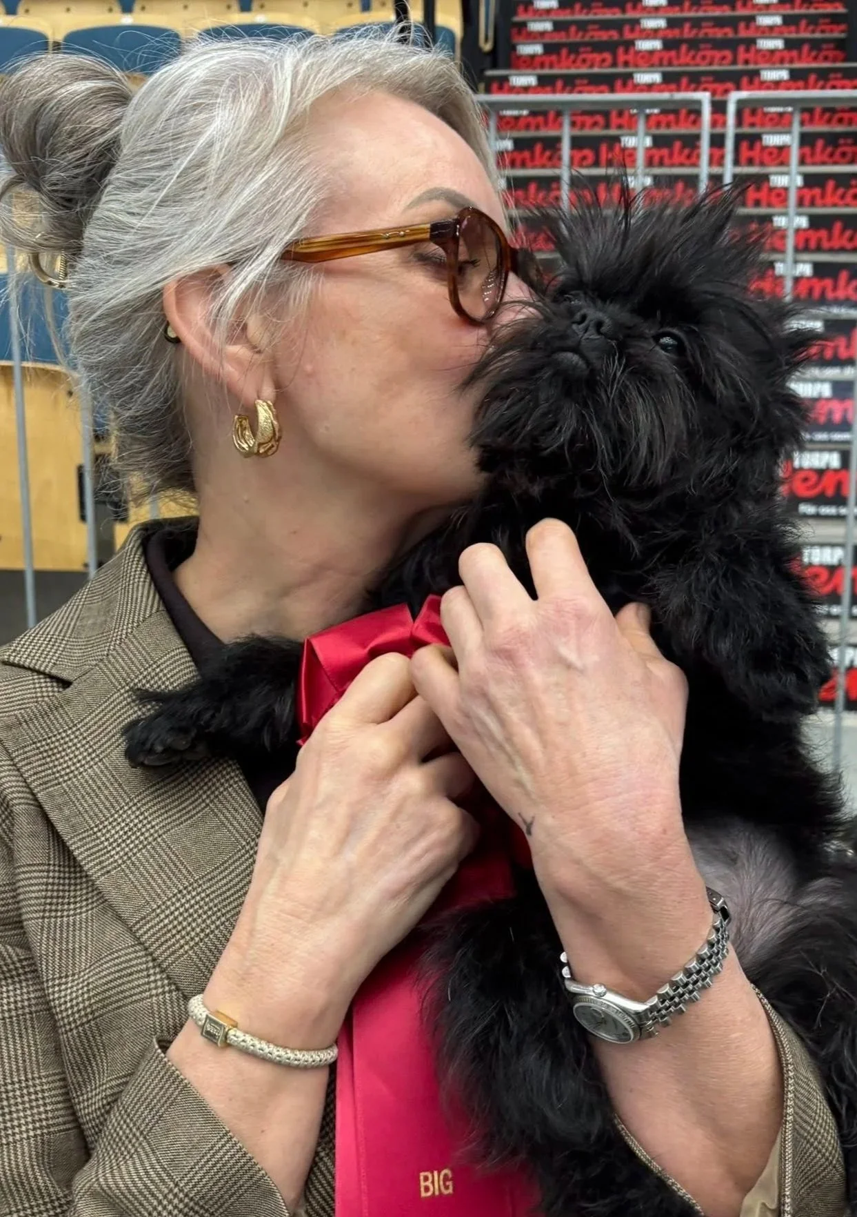 SKK Spring Winner International Vänersborg