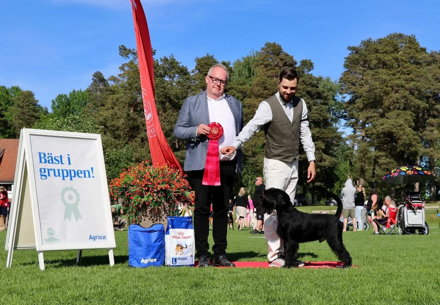 SKK Nat Dog Show Gimo