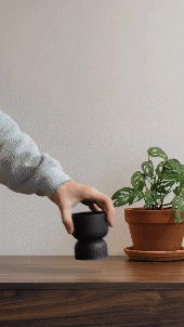                                  for audio incorporation   