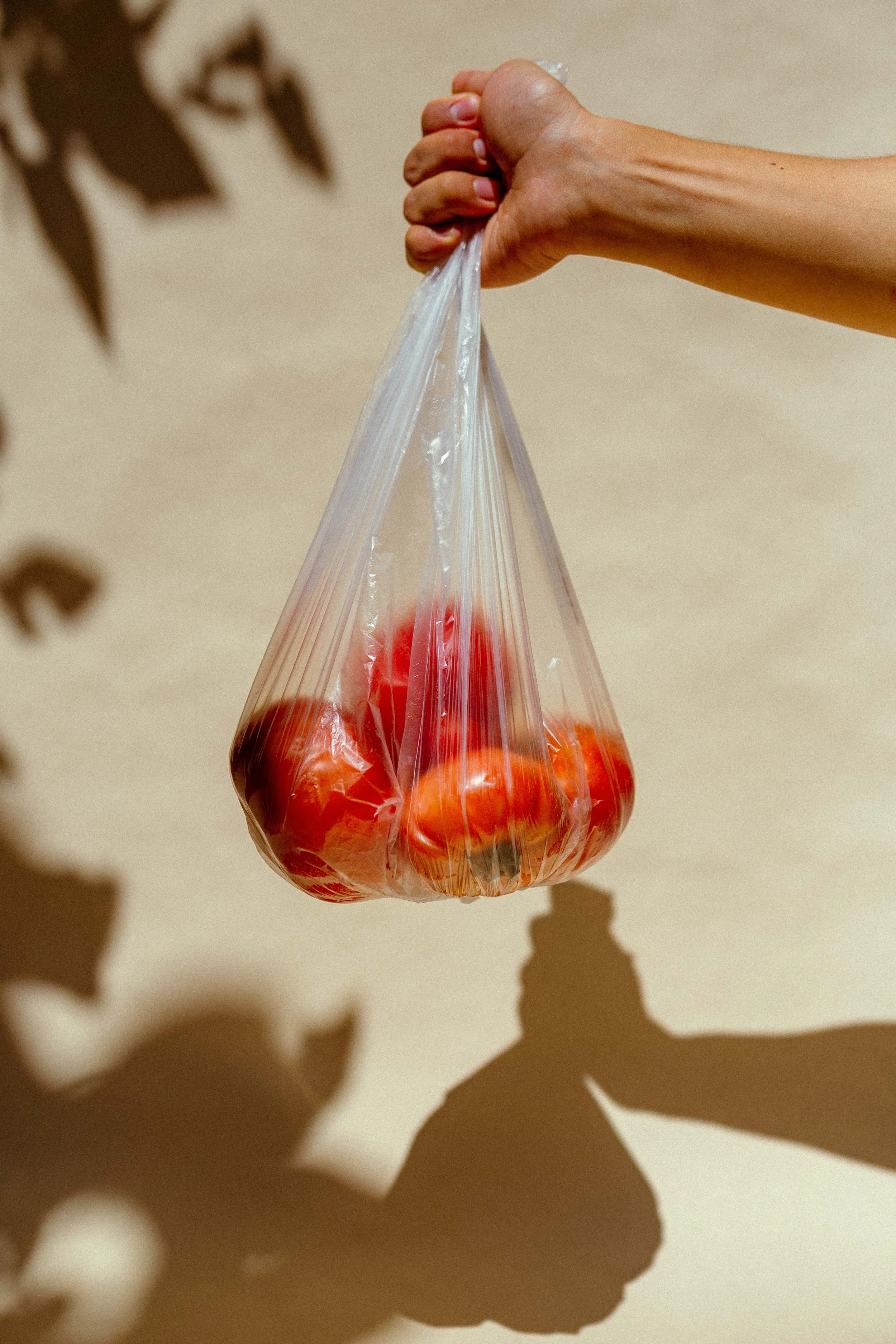 Summer Fruit 1.jpg