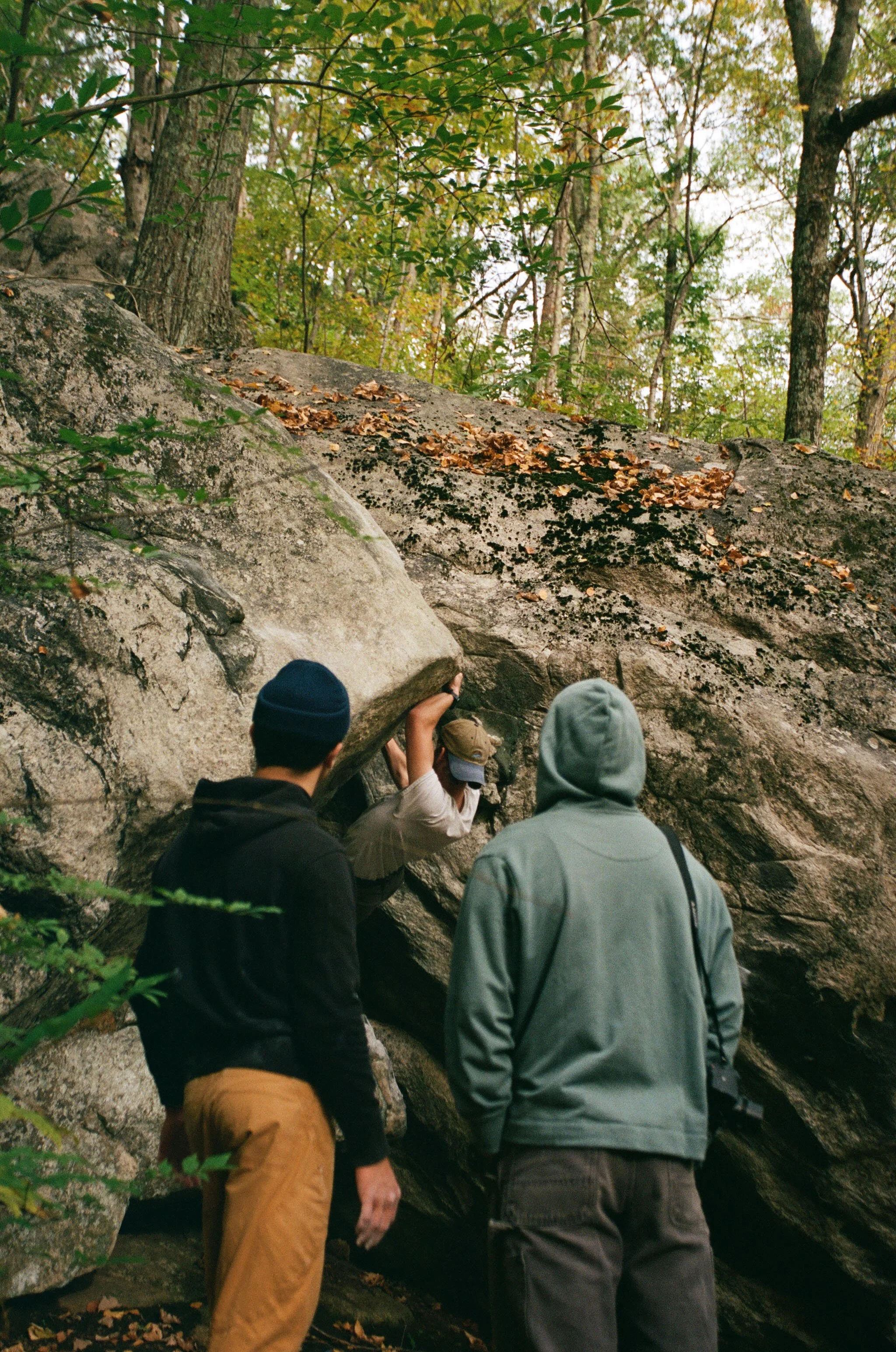 Ice Pond Website 4.jpg