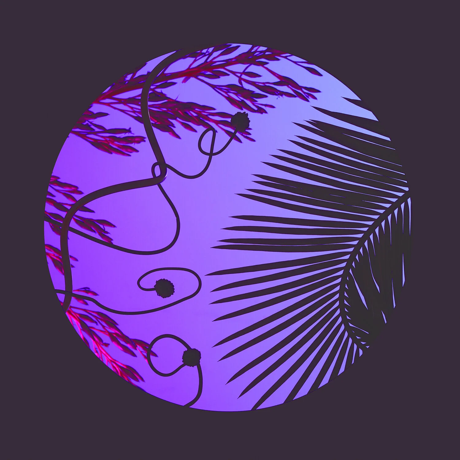 210122_Floral_Shadows_2313.jpg