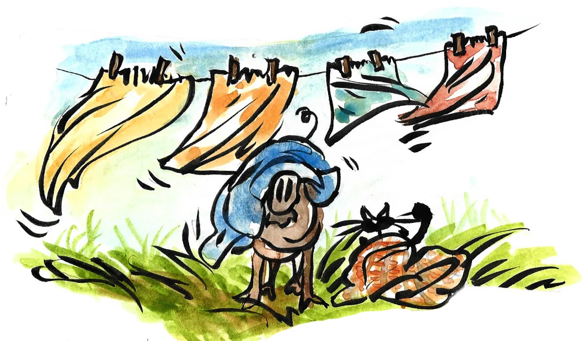 Pig and Puma 4.jpg