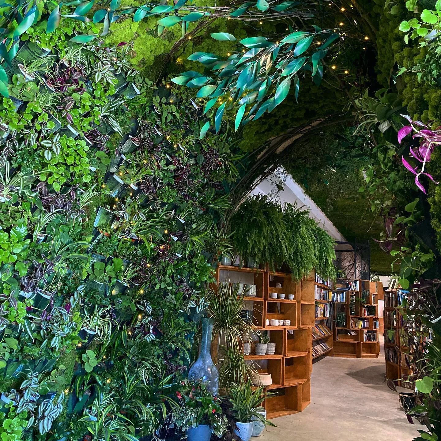 What an incredible experience! Have you ever dared to conceptualize something new? To create a store or platform to reach an underserved audience? 
🪴 
For Caro founder @carogerstein of @caroconsulting she found an opportunity of a lifetime when she 