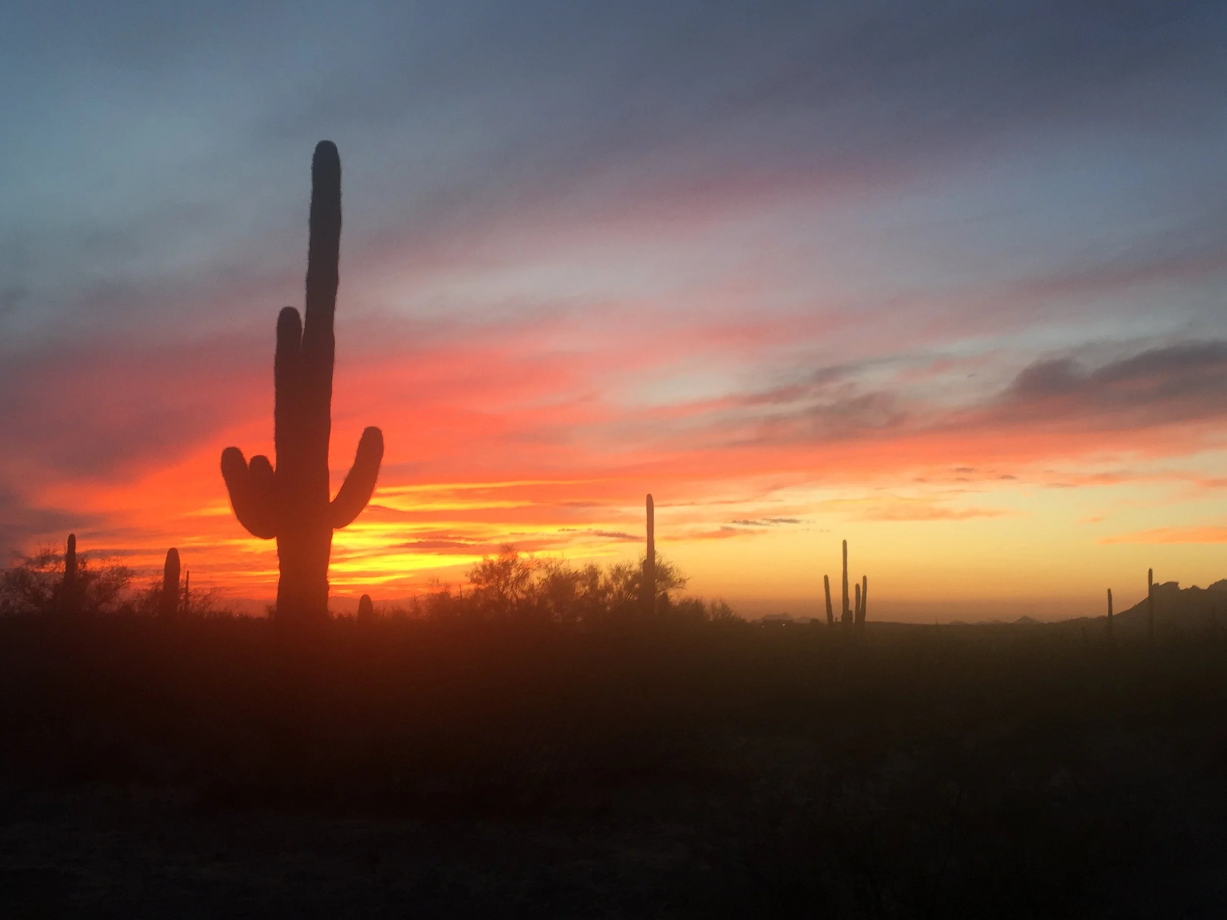 A Superstition Sunset