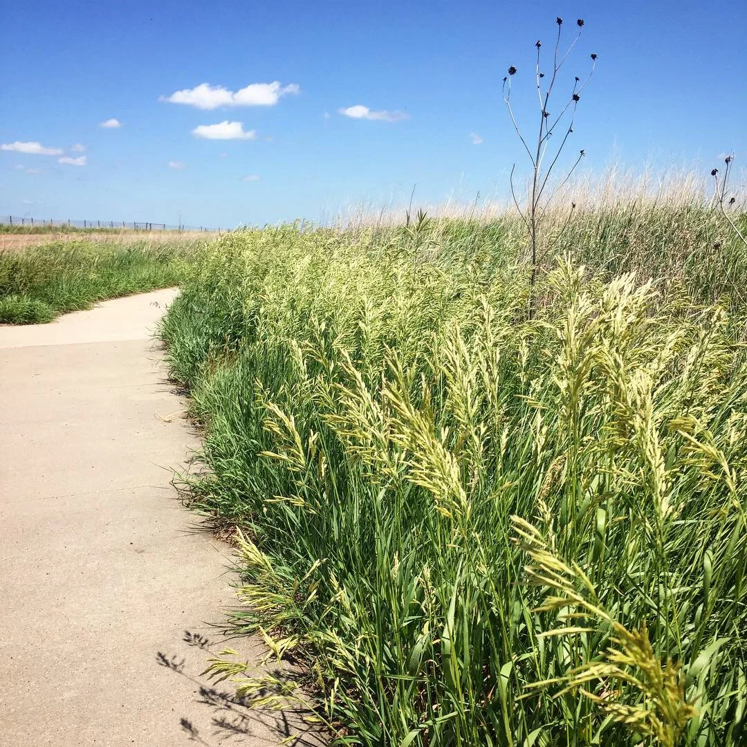 Mud CAN Get Into the Tires &amp; Your Eyelashes