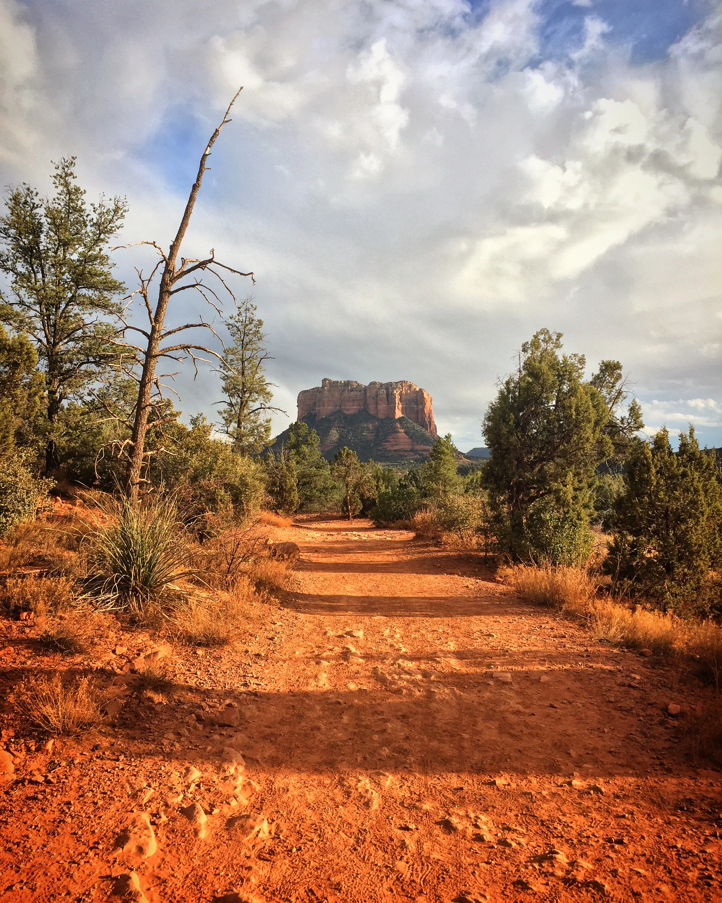 Sedona Arabella, Her Vortexes &amp; My Wide-Eyed Slumber