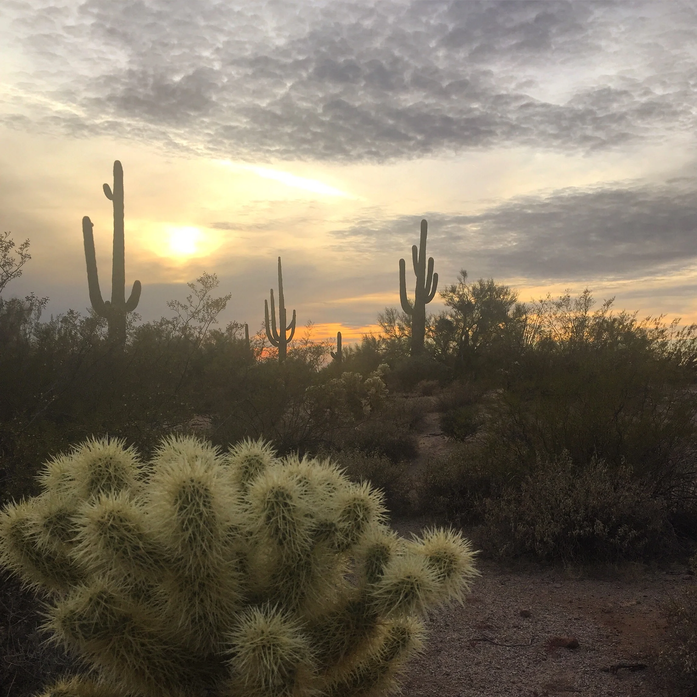 Chasing Sunsets &amp; Serenity 