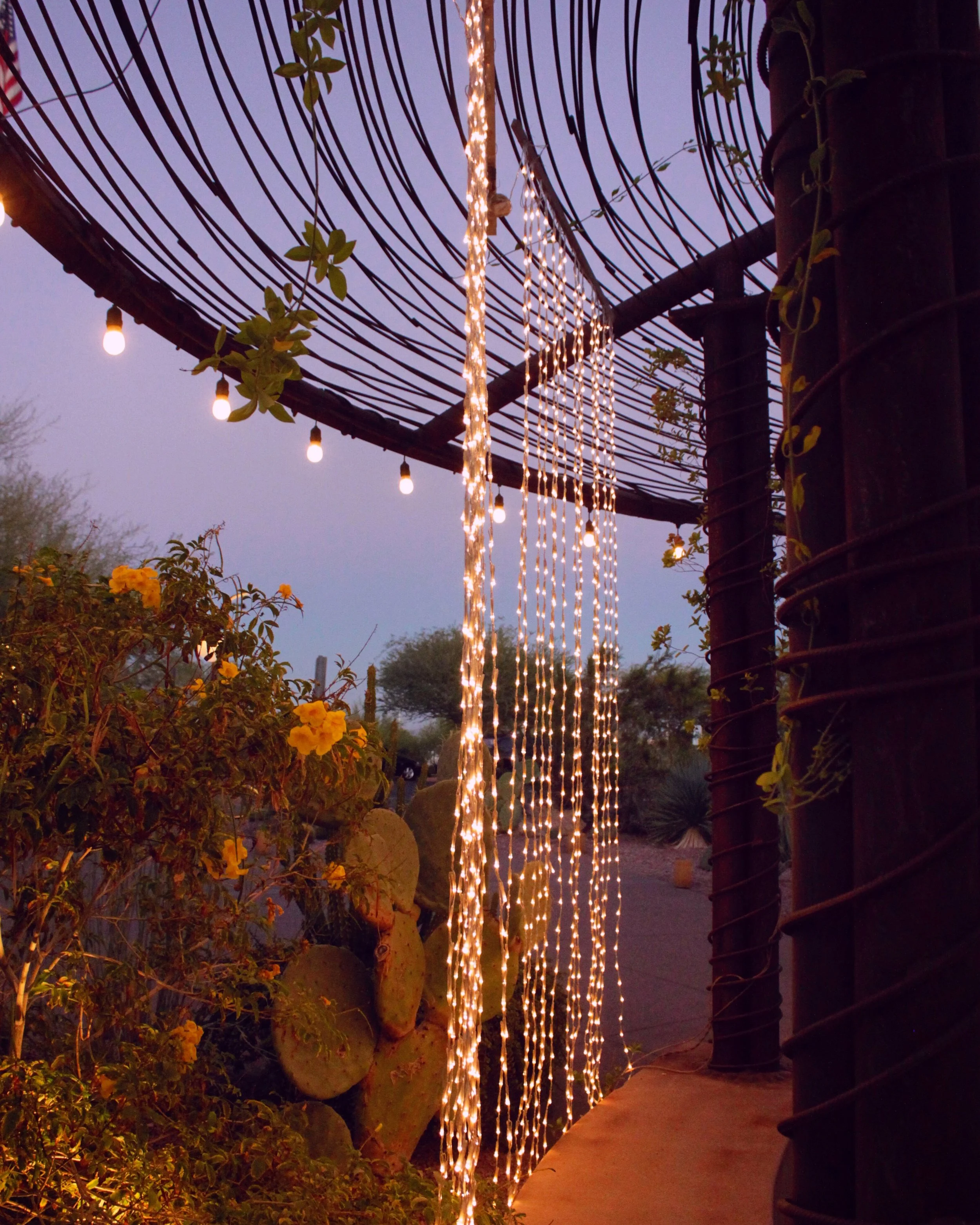 A purple sky falls over the Desert Botanical Garden grounds in Phoenix, Arizona on a warm, December day.