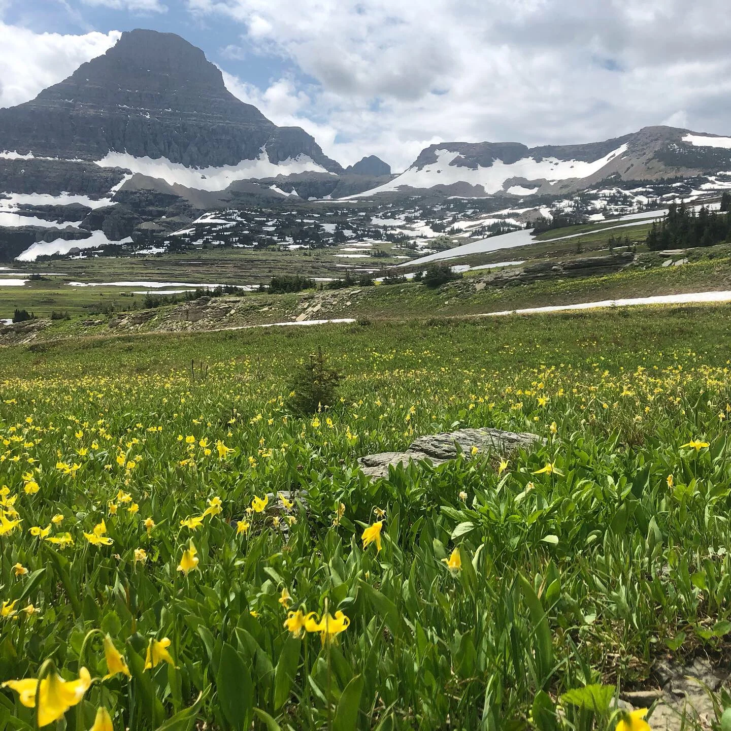 An Epic Journey To Glacier National Park