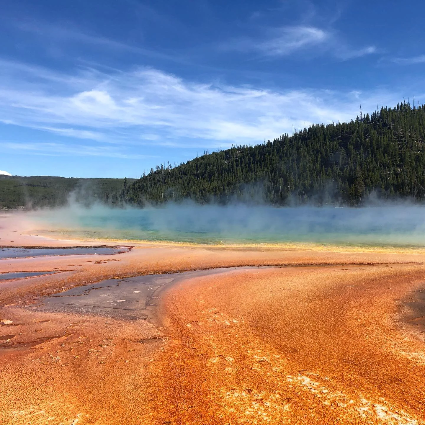 Junior Park Ranger of Yellowstone National Park