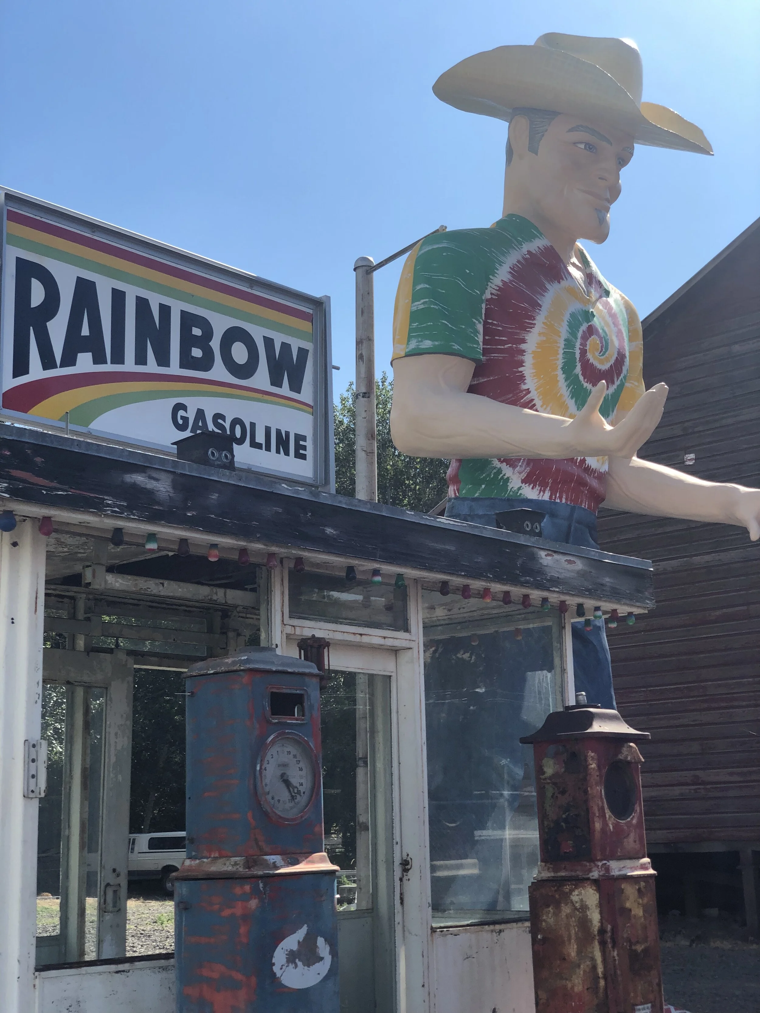 The Thrills of Renting Cars