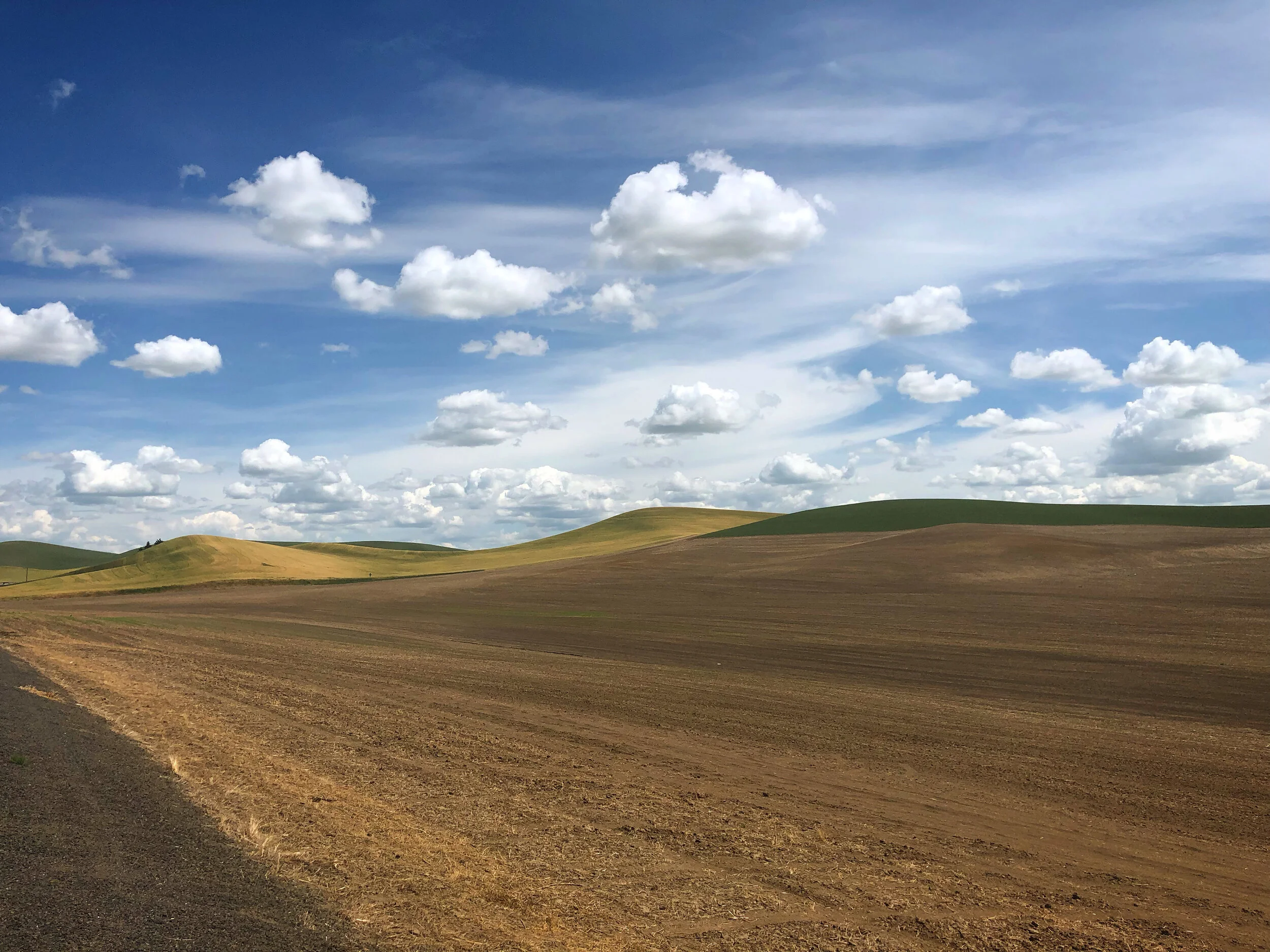 That Time I Met The Mayor