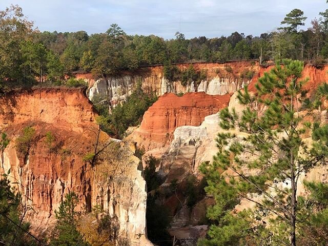 &ldquo;It's like a little piece of Utah made its way to a town nobody knows in Georgia.&rdquo; &ndash; Me

Yup, that&rsquo;s right&hellip;this is Providence Canyon State Park, it&rsquo;s known as Georgia&rsquo;s Little Grand Canyon, and hardly anyone