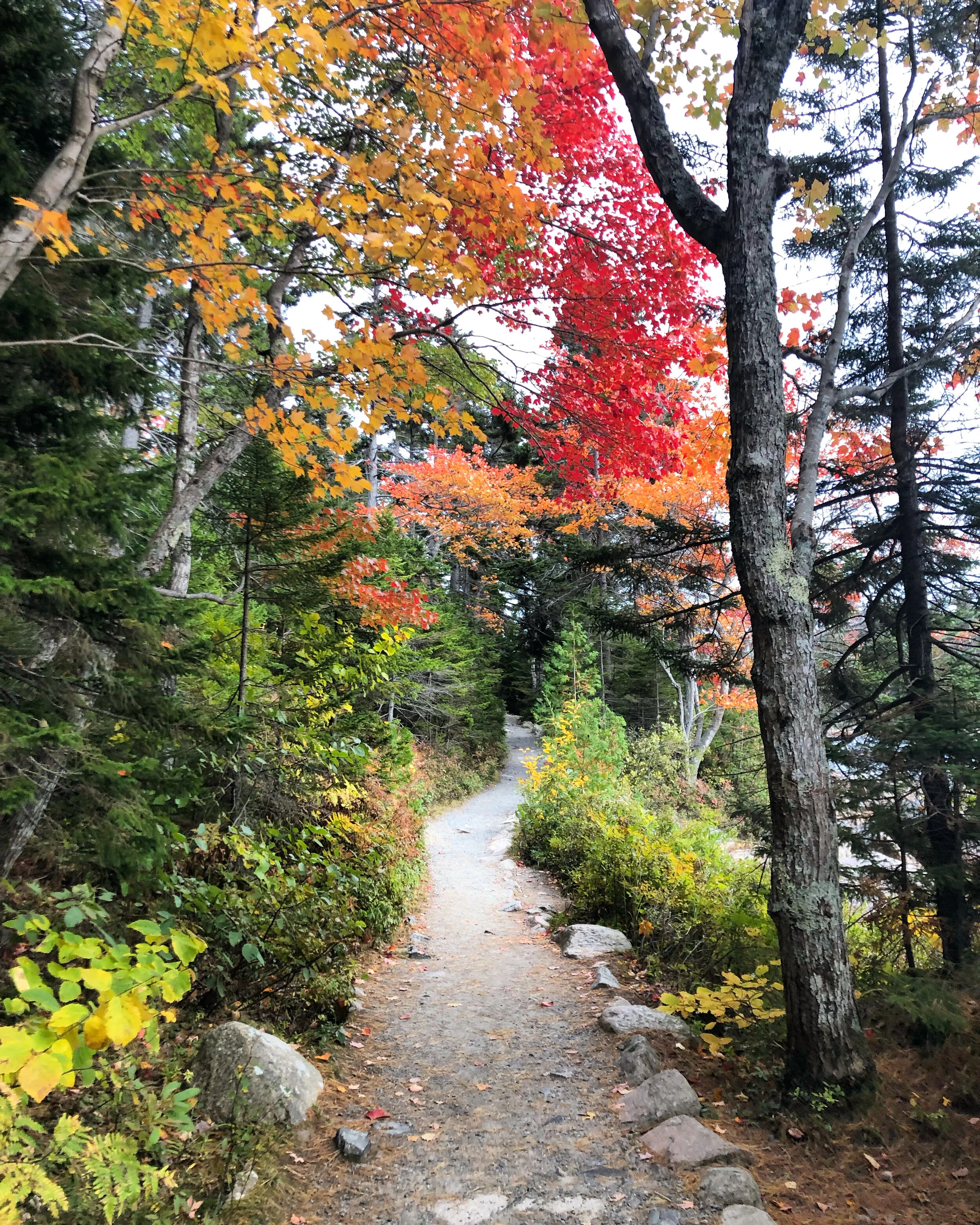 The Far Side of the Pond