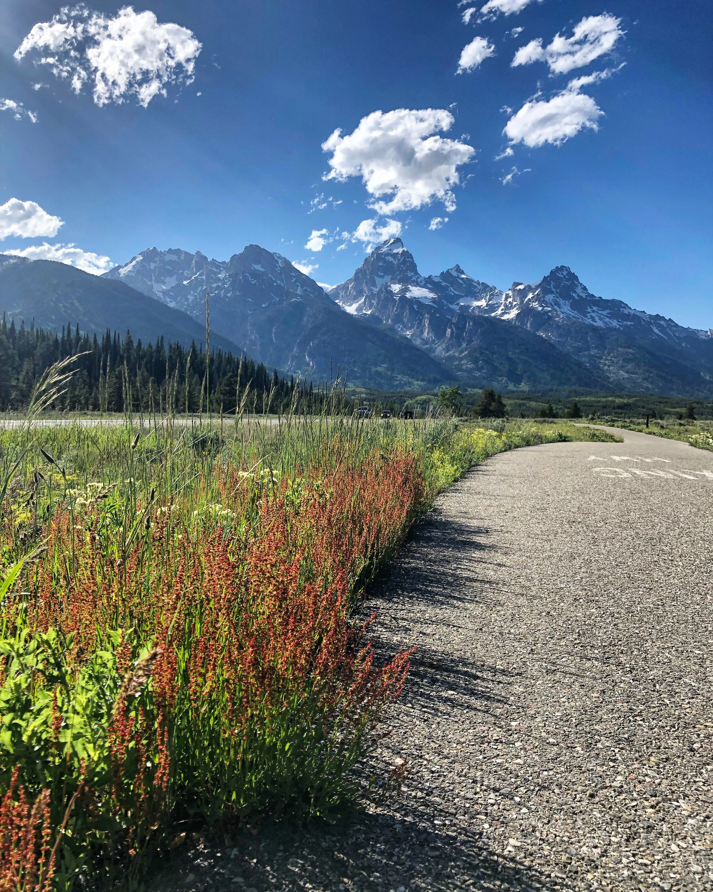 Timing in the Tetons
