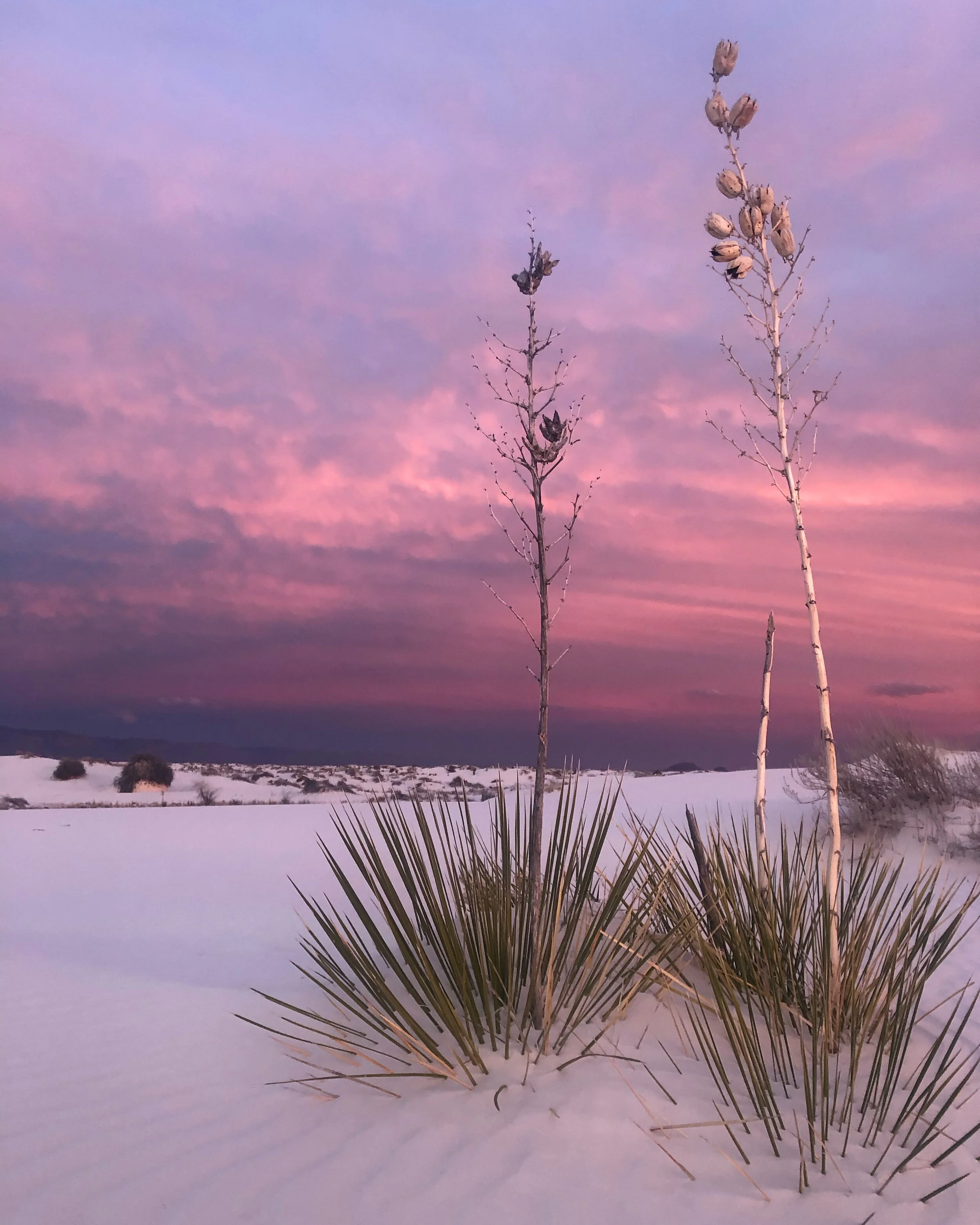 Being a Kid in White Sands National Park