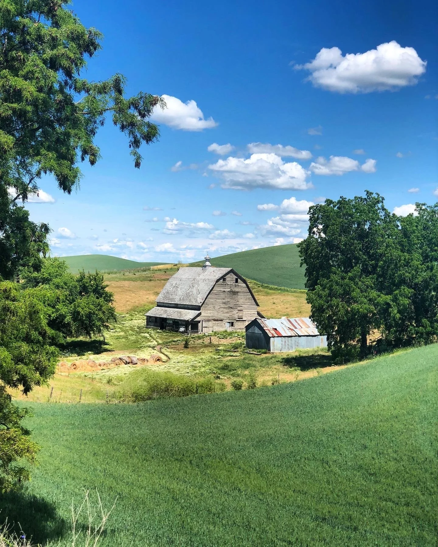 Back to the Palouse